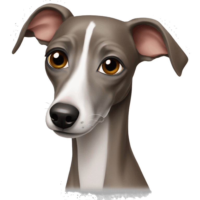 Italian greyhound emoji