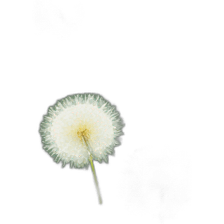 Dandelion  emoji