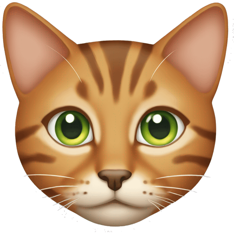 Orange and brown tabby cat with green eyes emoji