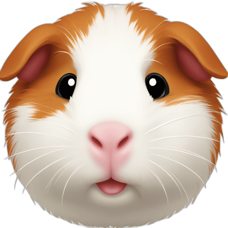 Guinea pig White and Red, its head and bottom is red emoji