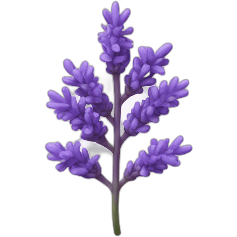 aroma-lavanda emoji