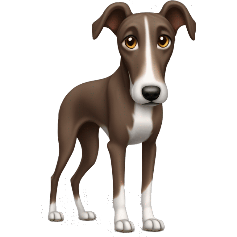 Chocolate brown lurcher grey hound cross dog  emoji