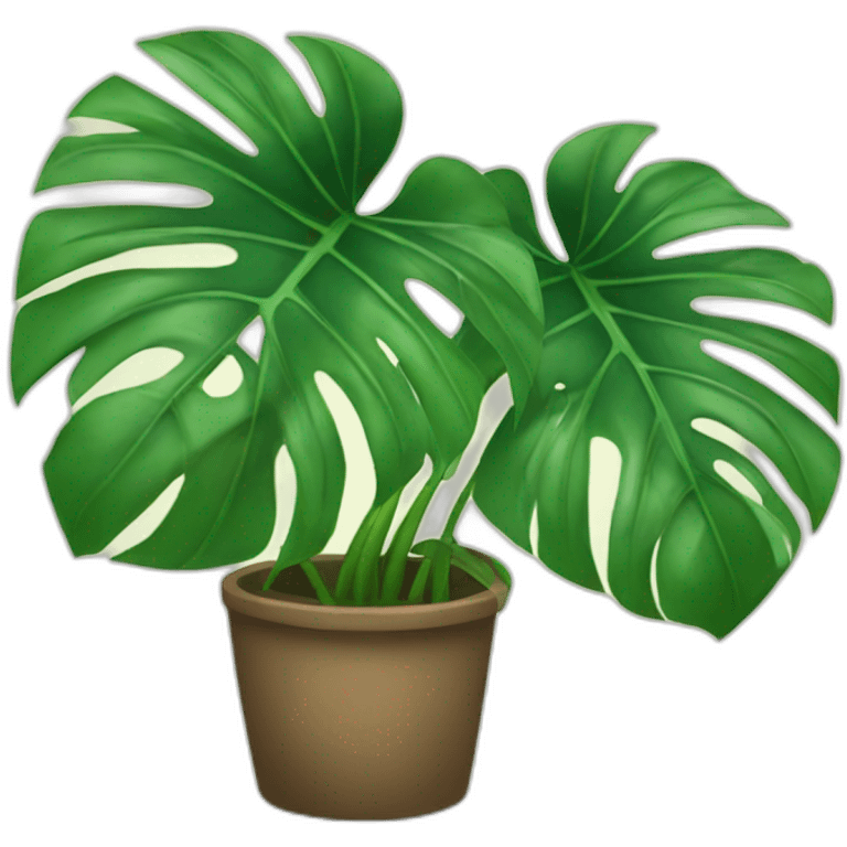 Monstera plant emoji