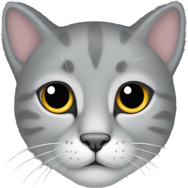 Gato de color gris solo rostro llorando emoji