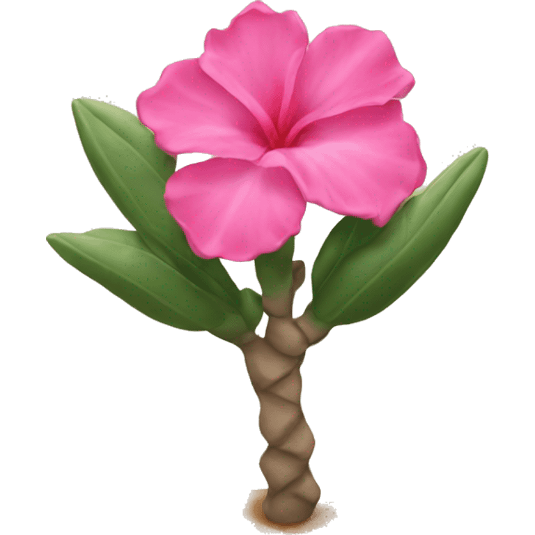 Desert rose  emoji