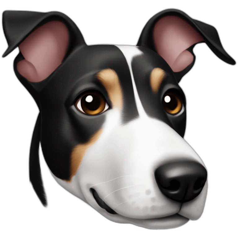 Black and white mix of a jack russel and a bullterrier with raise ears emoji