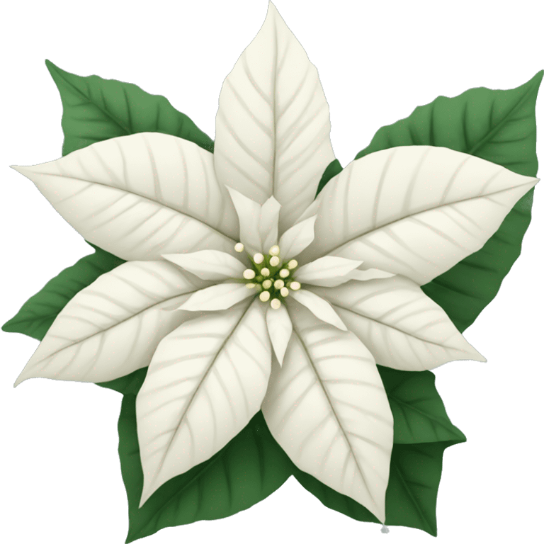 White poinsettia emoji