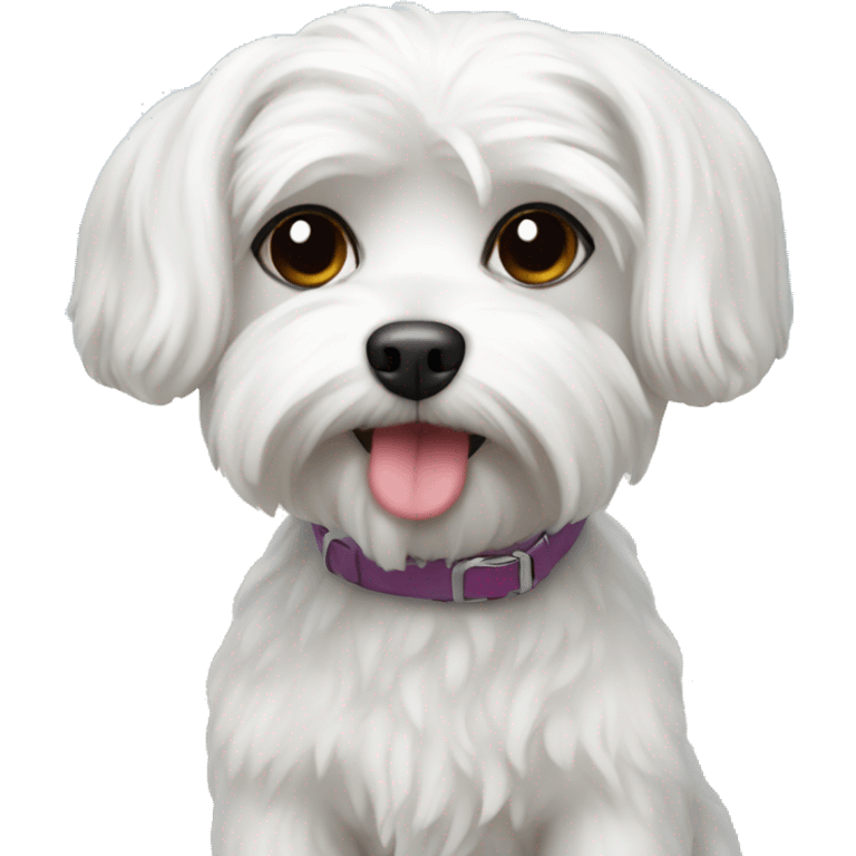 Maltese dog at the beach emoji