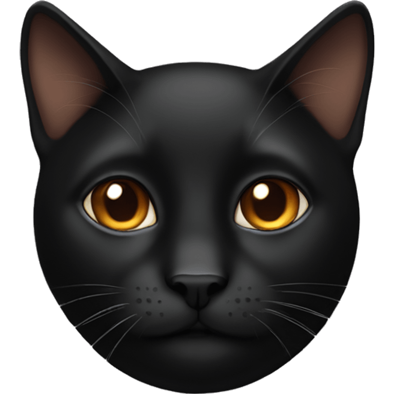 Black cat with brown eyes emoji