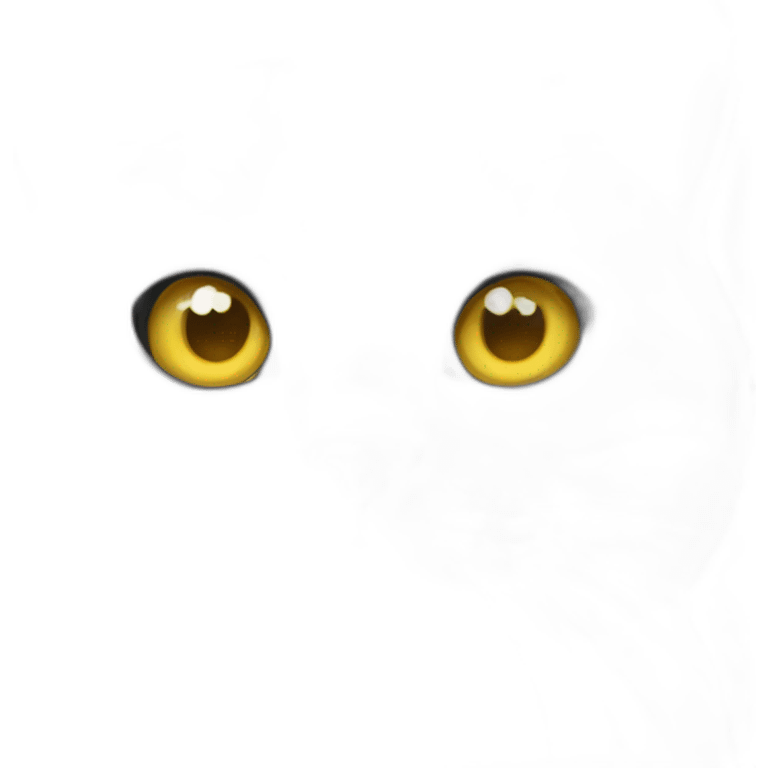 A british shorthair cat in schildpatt with yellow eyes emoji