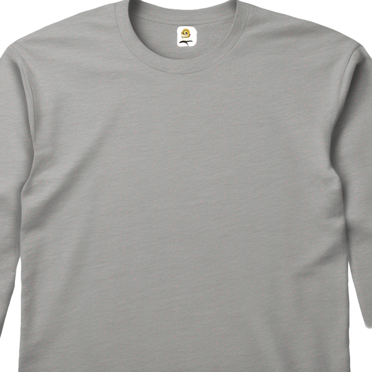 A plain long-sleeve T-shirt in melange gray color. emoji