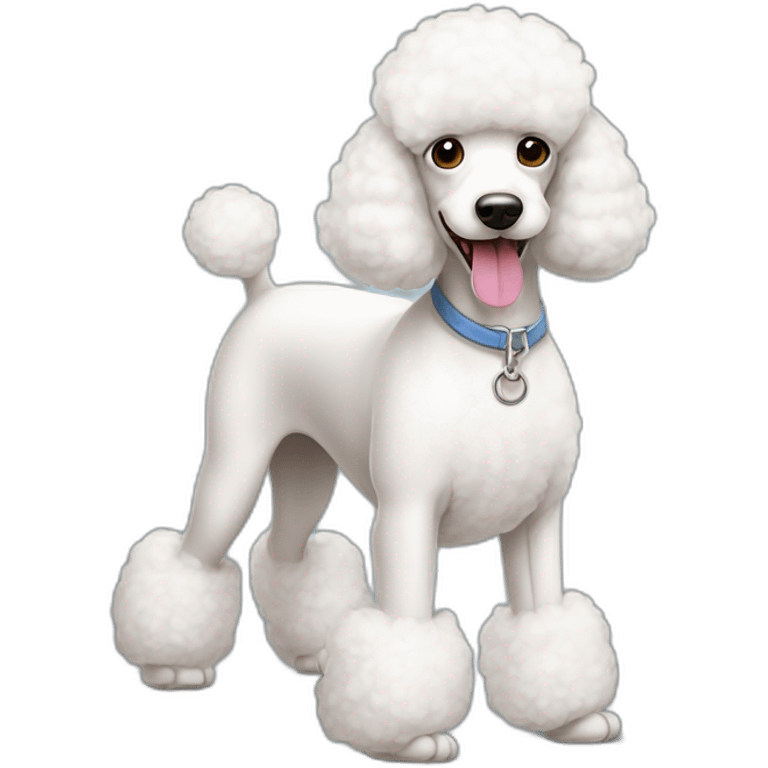 three-white-toy-poodles emoji