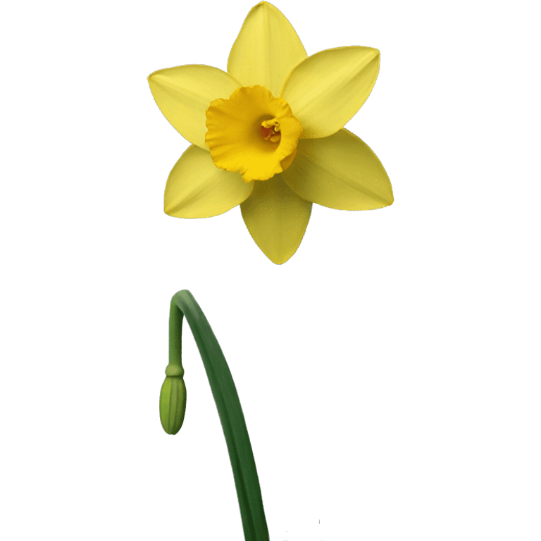 narcissus emoji