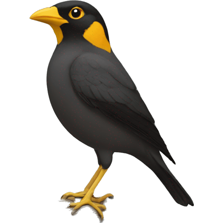 emoji of myna ( front view emoji