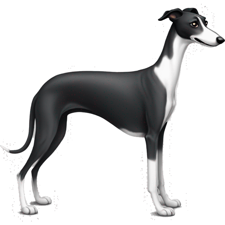 Black white greyhound  emoji