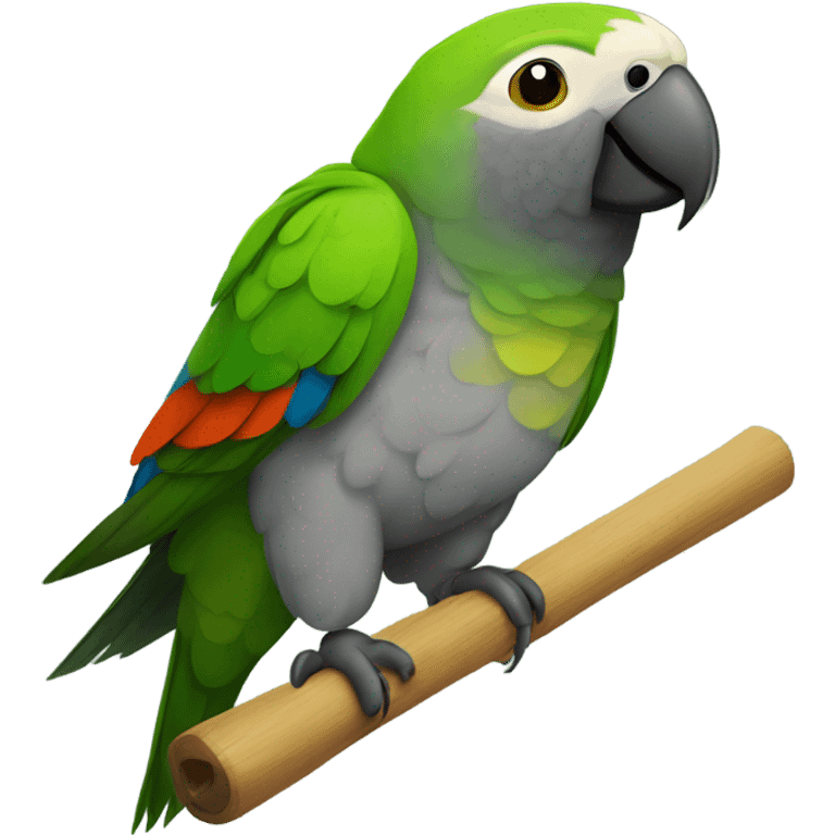 Smaller head senegal parrot emoji