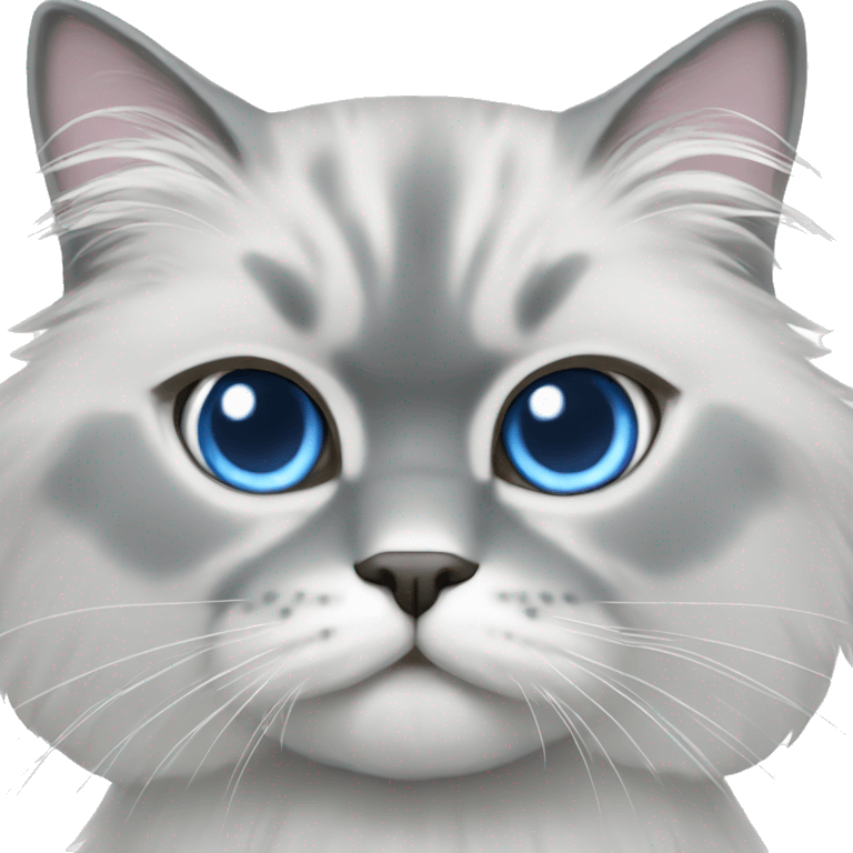 Silver Persian male cat blue eyes emoji