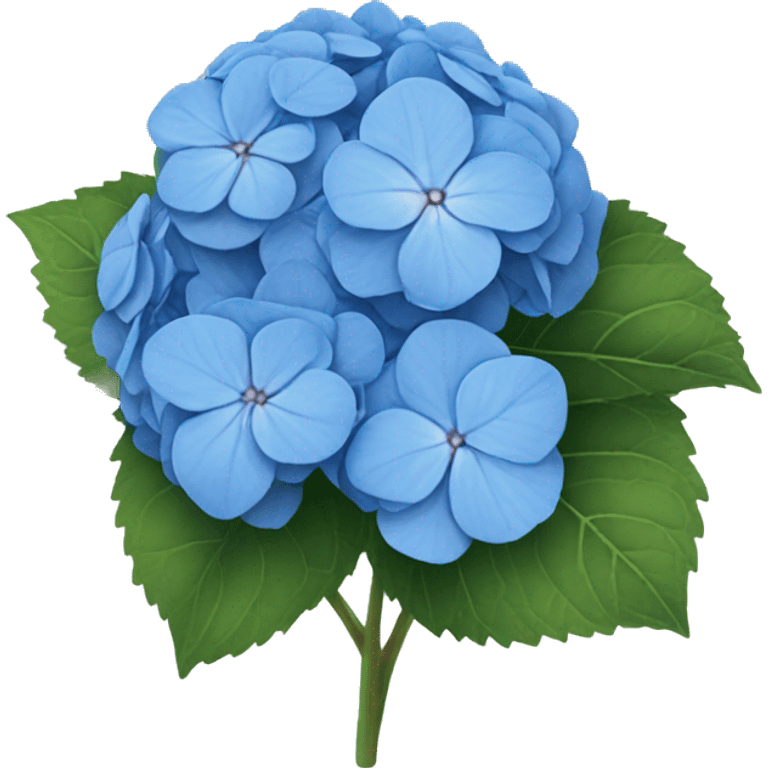 blue hydrangea  emoji