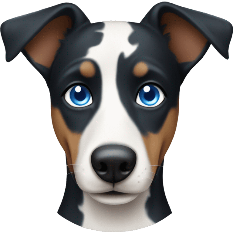 Patchy cute dog with blue eyes kelpie  emoji