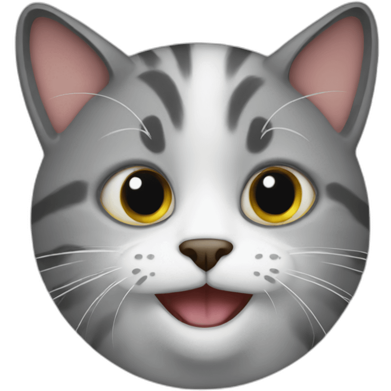 crazy cat emoji