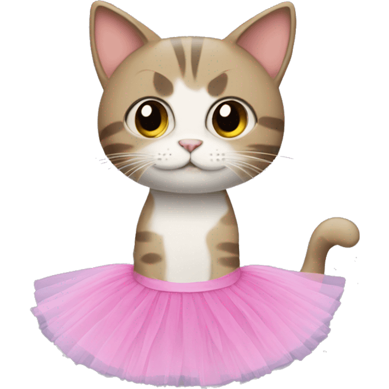 Cat with tutu emoji