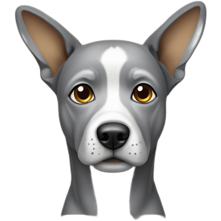 Grey dog with short legs pointy ears emoji