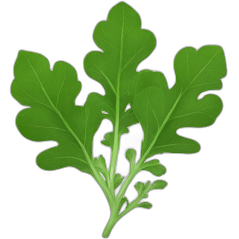 arugula leaves emoji