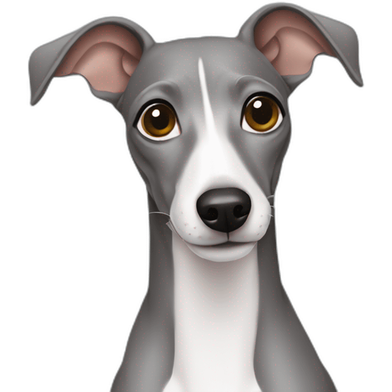 Grey Italian greyhound emoji