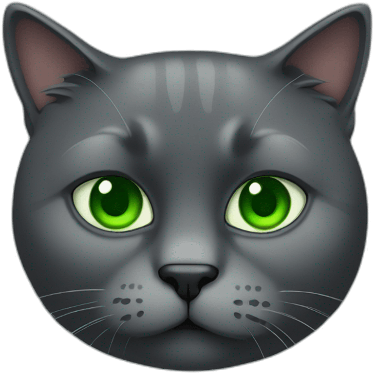 dark grey fat cat with green eyes emoji