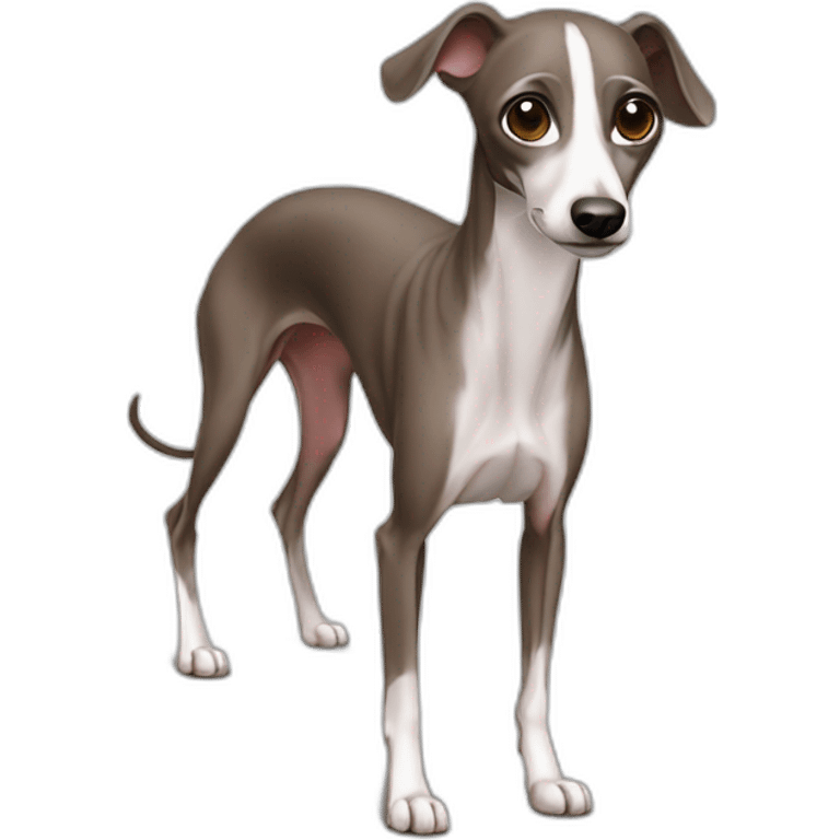 Italian greyhound emoji