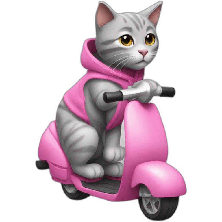 A gray stuffed cat. This cat is wearing a sleeveless sweater with a pink hood. He rides a manual scooter. emoji