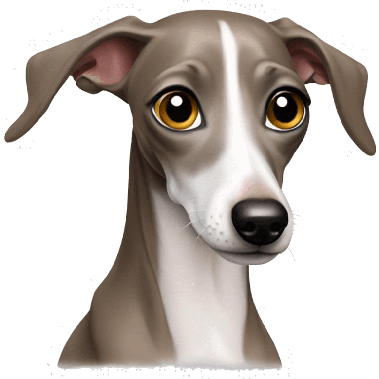 Italian greyhound  emoji