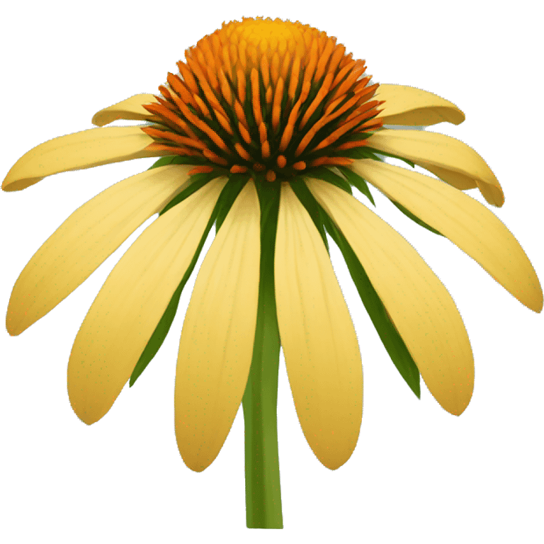 Coneflower  emoji