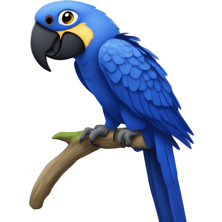 Hyacinth macaw emoji