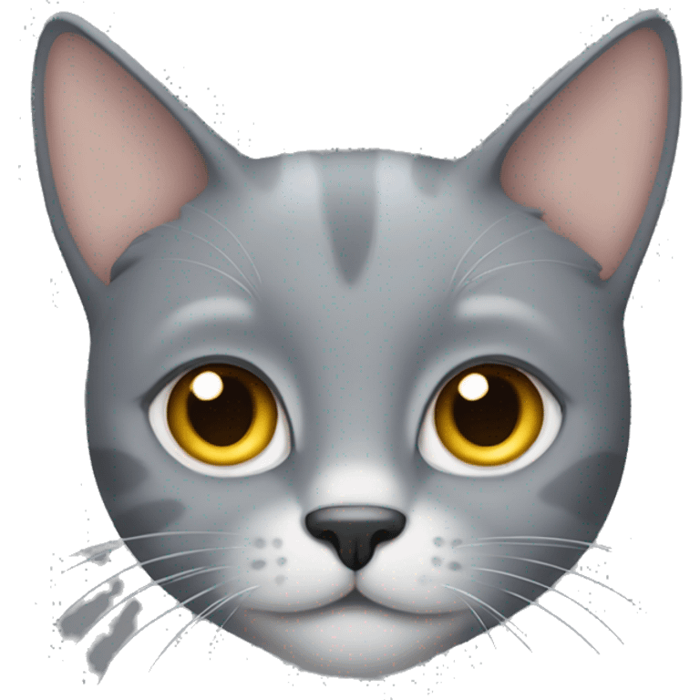 Grey cat with one ear chipped  emoji