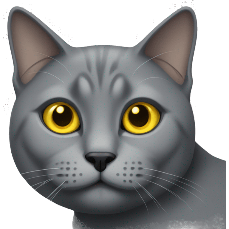 Grey British cat with yellow eyes emoji