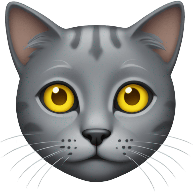 Gray cat with yellow eyes emoji