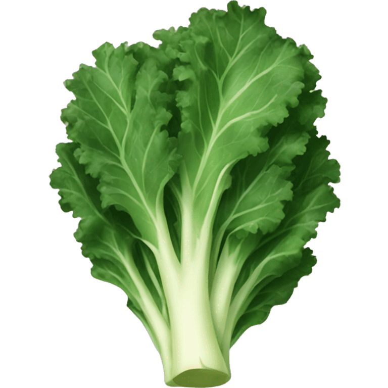 food kale emoji