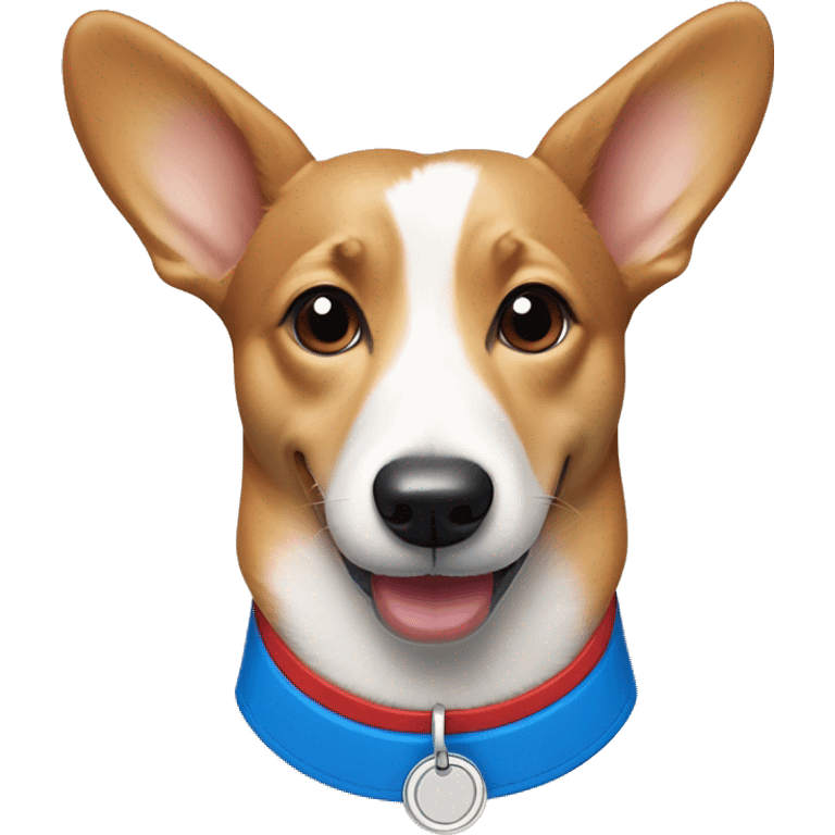 Wiener dog/corgi face tan and white, with red collar and blue dog tag emoji