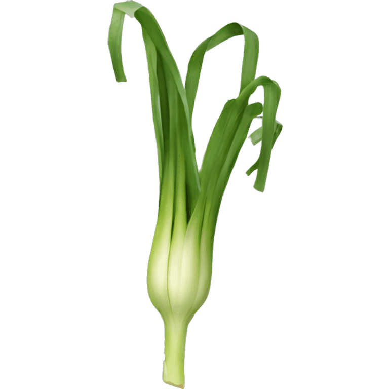 A LEEK USING A LAPTOP emoji