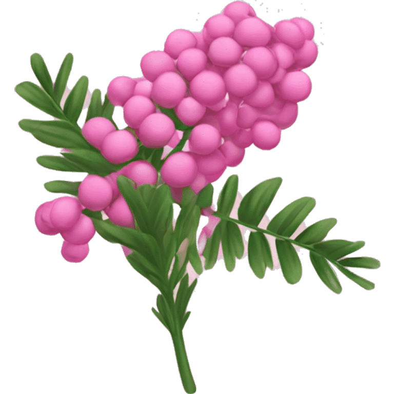 pink mimosa emoji