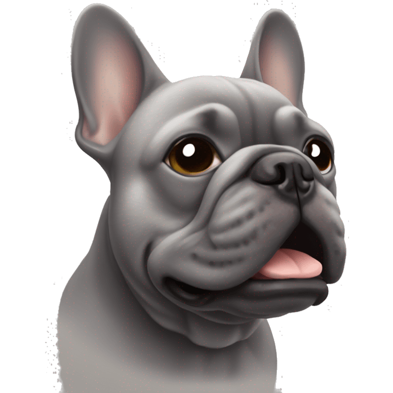 muzzle of a gray French bulldog emoji