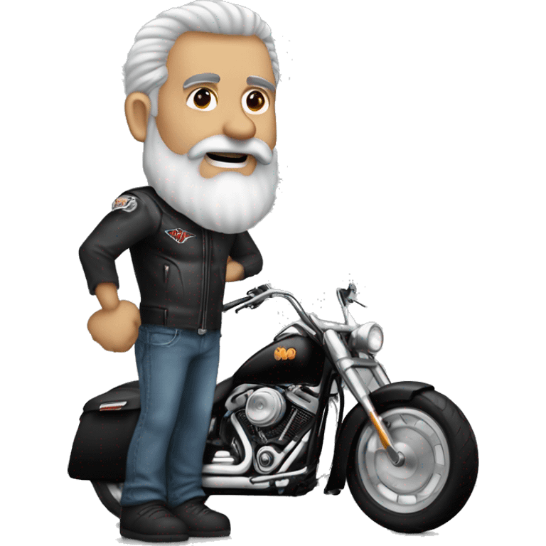 Old Biker grey Beard bo Hair  Harley Chicago emoji