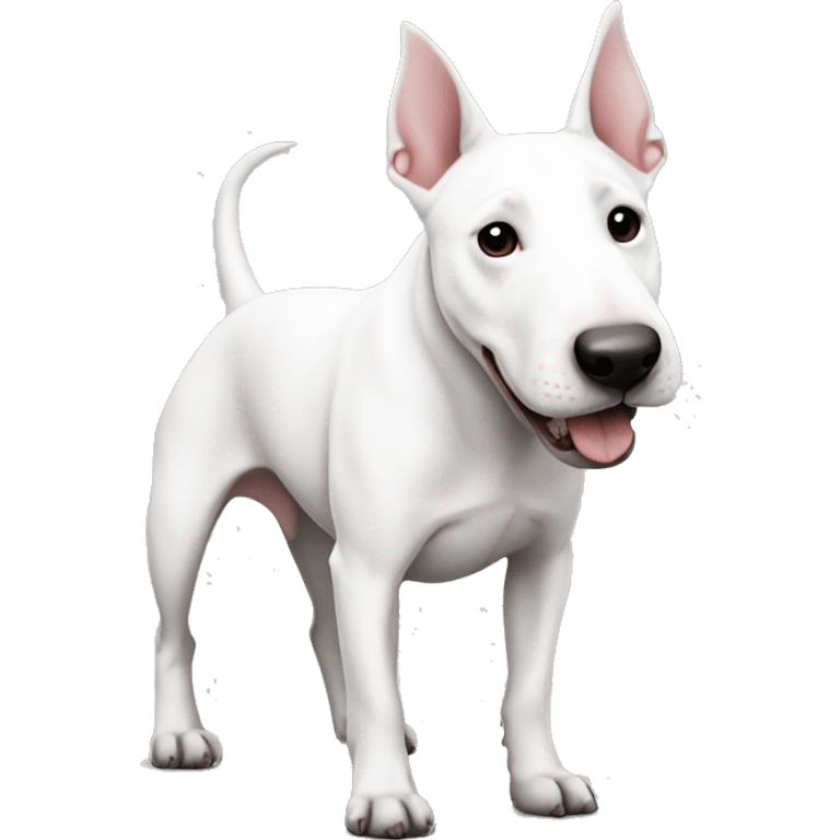 Bull terrier white with black nose like heart  emoji