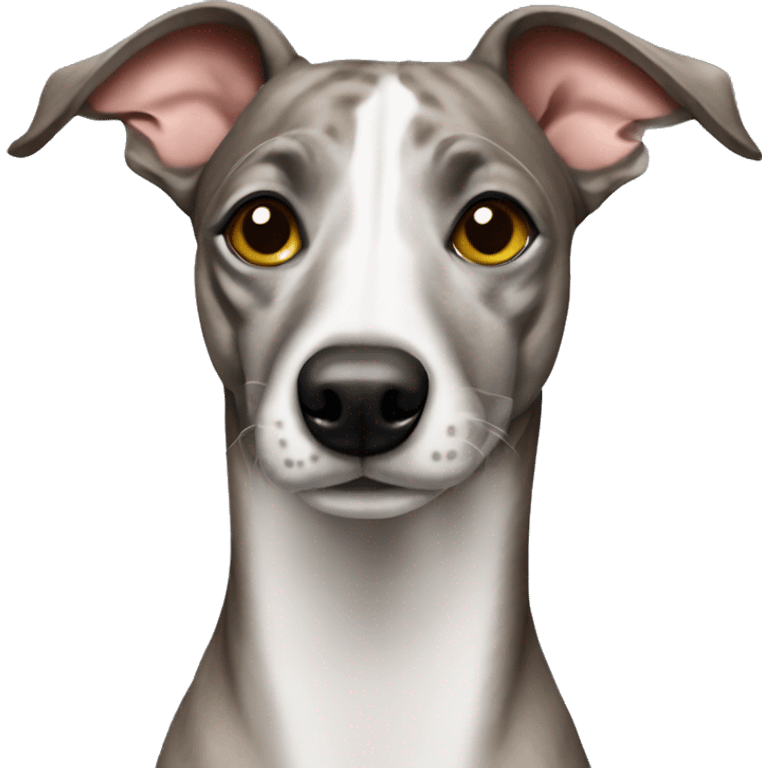 italian whippet brindle dog emoji