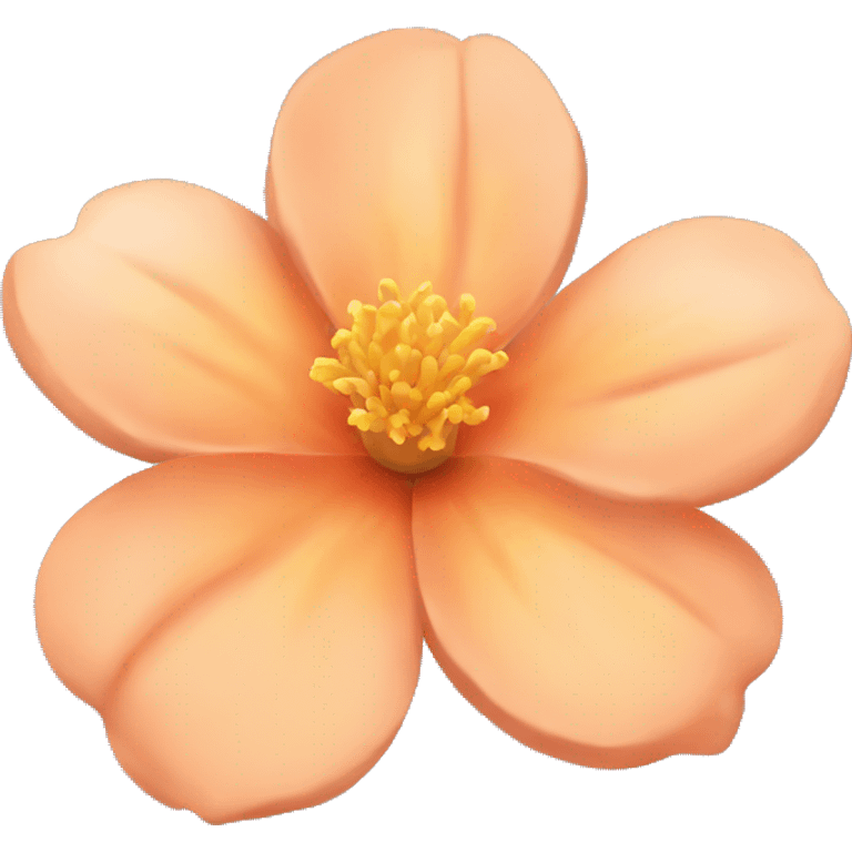 Peach colour Flower🌺 emoji