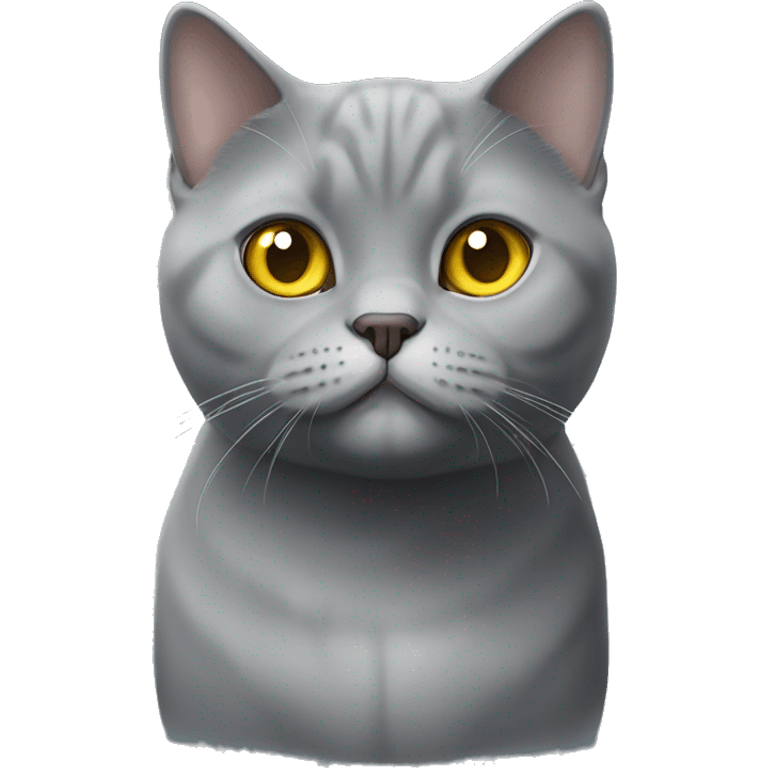 British Shorthair Silver Short Face Cat with Yellow Eyes emoji