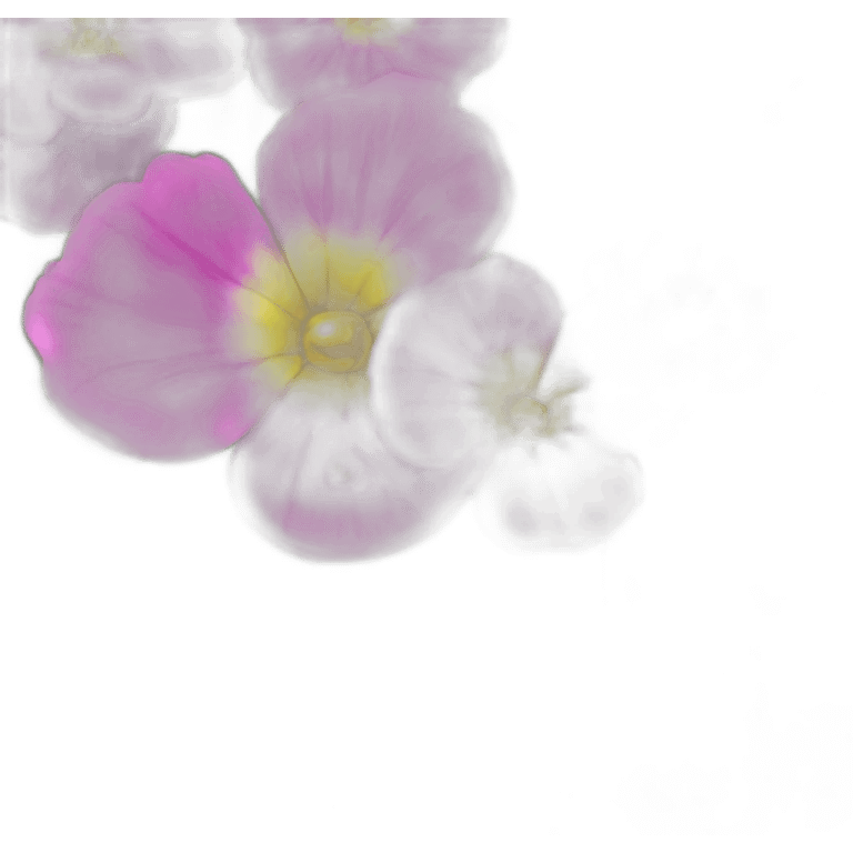 Flower primula shine sparkling emoji