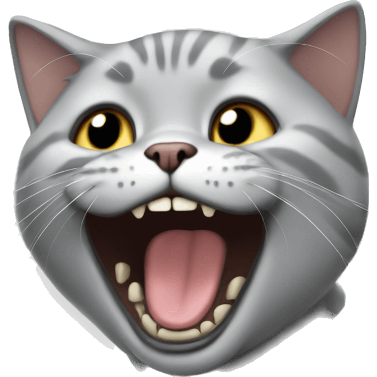 British shorthair cat laughing emoji