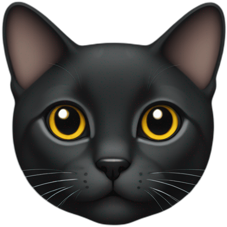 Black British short hair cat emoji